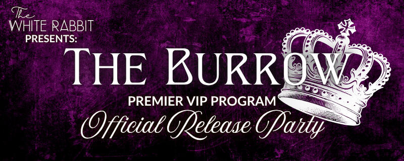 discord event banner discord event banner